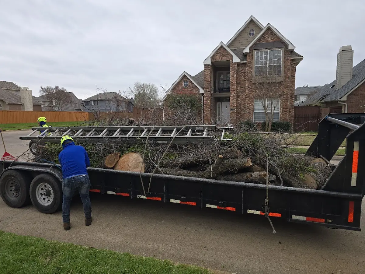 Expert Tree Removal with proper safety equipment in Barton City